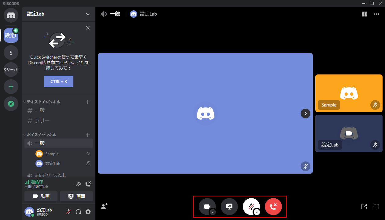 Discord ビデオ通話中の使い方 設定lab