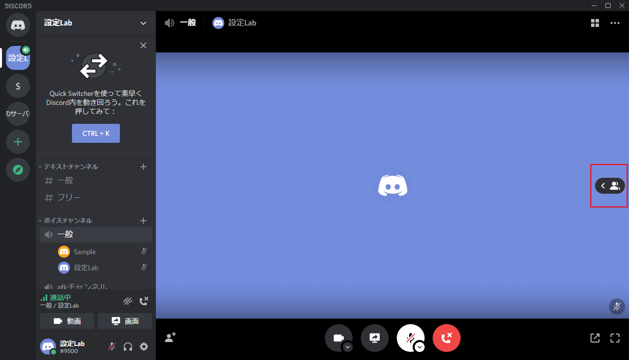 Discord ビデオ通話中の使い方 設定lab