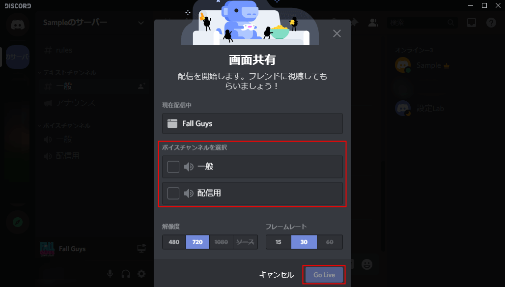 Discord 画面 共有