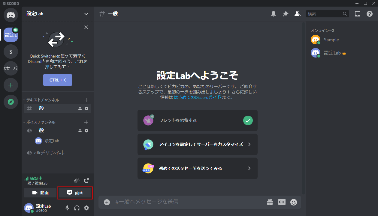 Discord 画面 共有